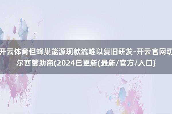 开云体育但蜂巢能源现款流难以复旧研发-开云官网切尔西赞助商(2024已更新(最新/官方/入口)